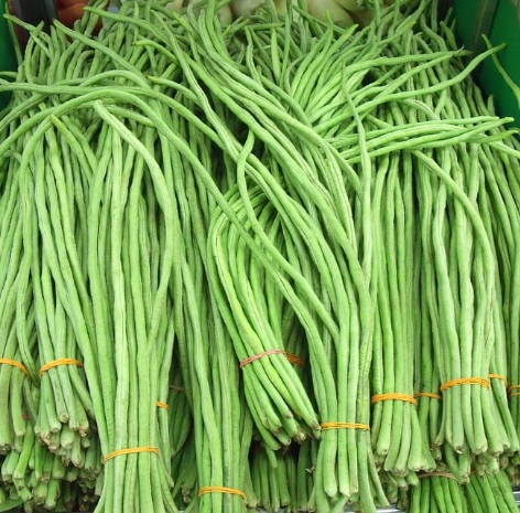 String Beans